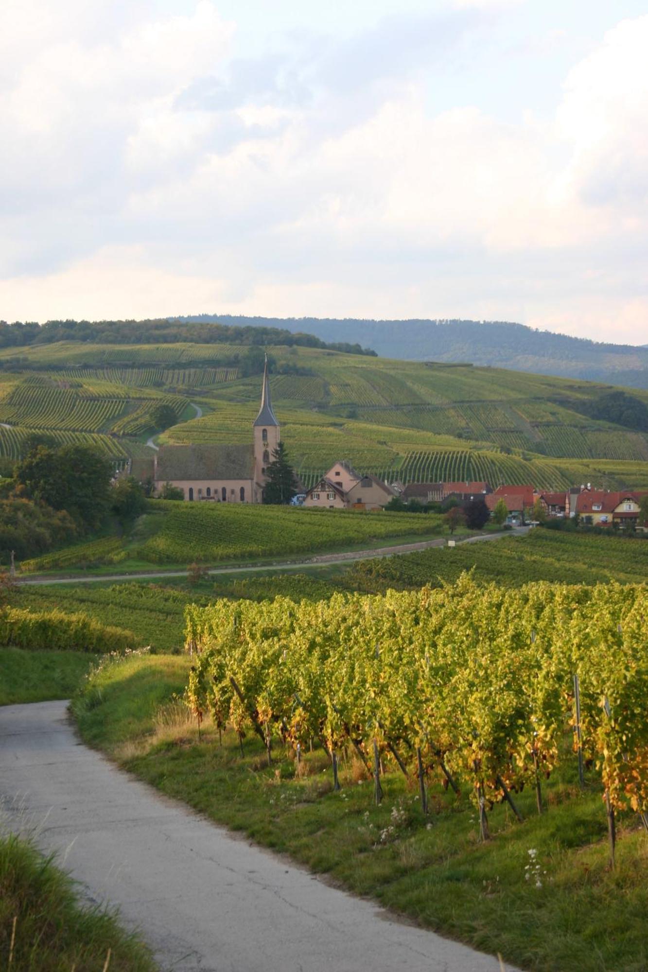Hotel Winzenberg Blienschwiller Luaran gambar